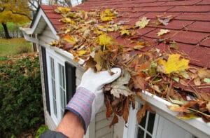 Clearing the Leaves and Debris of the Gutters